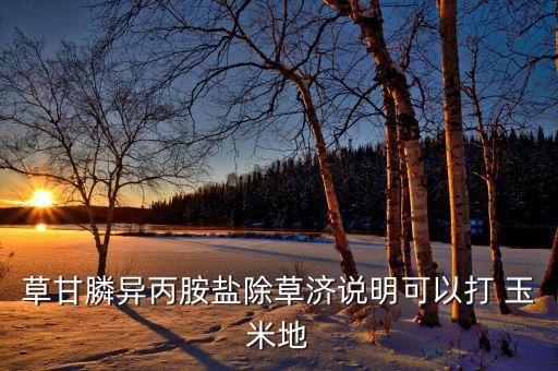 草甘膦異丙胺鹽除草濟說明可以打 玉米地