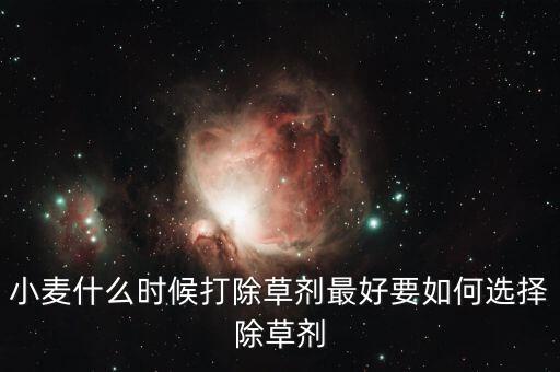 小麥什么時候打除草劑最好要如何選擇除草劑