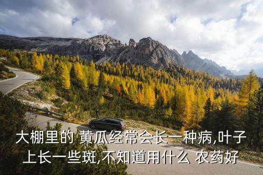 種植黃瓜用什么農藥好用,黃瓜種植管理技術