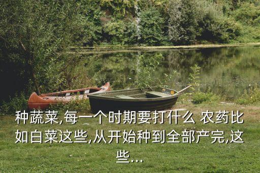 種小白菜用什么農藥,小白菜打完農藥后幾天可以吃