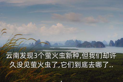 寅火蟲用什么農藥,青菜有蟲打什么農藥好