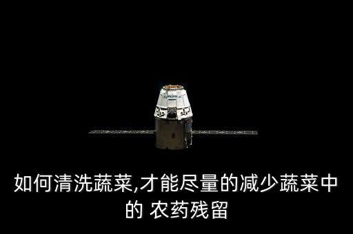 如何清洗蔬菜,才能盡量的減少蔬菜中的 農藥殘留