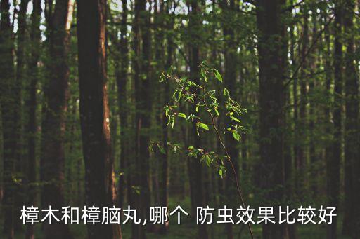 樟木和樟腦丸,哪個 防蟲效果比較好