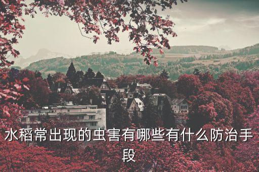 稻谷吃心蟲噴什么農藥