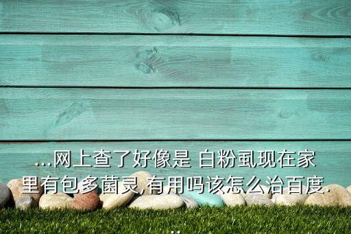 什么農藥專治白粉虱,殺白粉虱卵效果最好的農藥