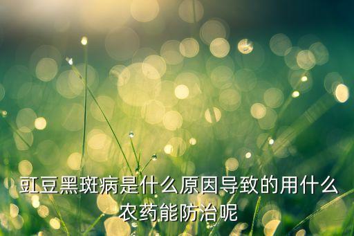 豇豆菜螟用什么農藥