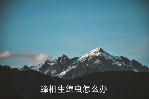 蜂相生綿蟲怎么辦