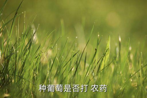 種葡萄是否打 農藥