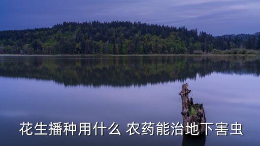 花生什么農藥拌種最好,花生拌種時加什么殺菌劑最好