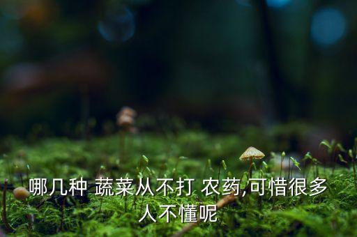 種蔬菜一般用什么農(nóng)藥,無(wú)農(nóng)藥種什么蔬菜好呢圖片