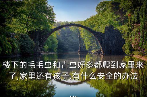 樓下的毛毛蟲和青蟲好多都爬到家里來了,家里還有孩子,有什么安全的辦法...