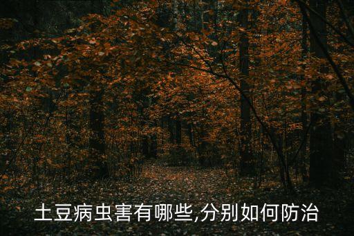 馬鈴薯軟腐病用什么農藥,干腐病用什么農藥