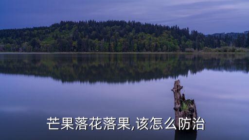 芒果常用什么農(nóng)藥消毒最好