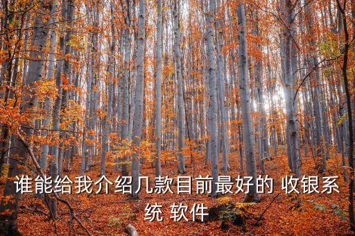誰能給我介紹幾款目前最好的 收銀系統(tǒng) 軟件