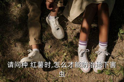 紅薯用什么農藥殺蛆好用,紅薯要噴什么農藥呢