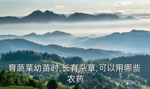 菜田打什么農藥最好呢圖片,一般什么時間打農藥最好