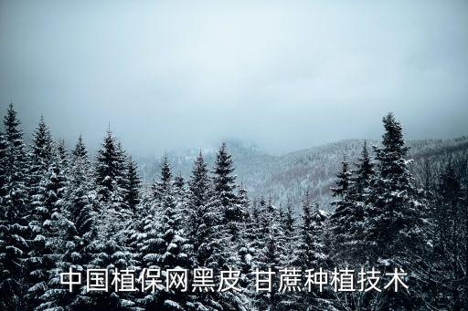 黑甘蔗用什么農藥防治的,甘蔗打什么農藥長得快