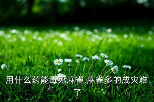 用什么藥能毒死麻雀,麻雀多的成災難了