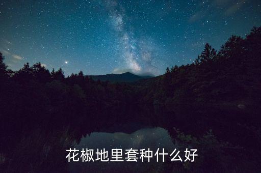  花椒地里套種什么好