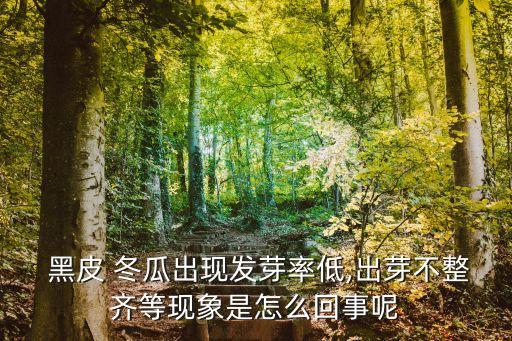 黑皮 冬瓜出現發芽率低,出芽不整齊等現象是怎么回事呢