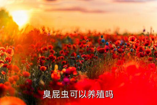 臭屁蟲可以養殖嗎