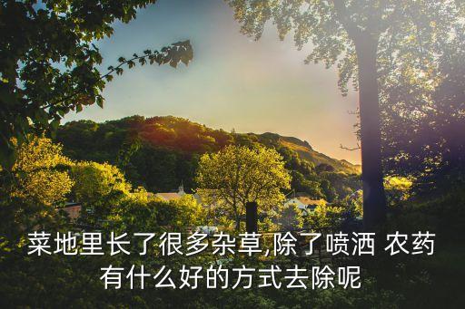 種菜打什么農藥不長草,種菜用什么農藥比較安全好