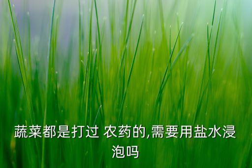 蔬菜都是打過 農(nóng)藥的,需要用鹽水浸泡嗎