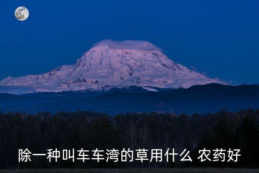 什么農藥殺小飛蓬