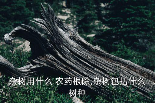 槐樹用什么農藥殺死,殺死槐樹什么藥最厲害