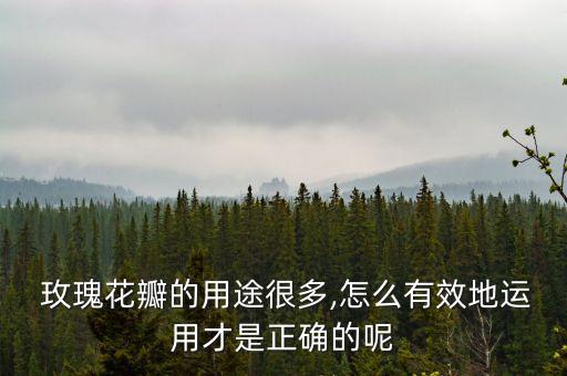 玫瑰花瓣的用途很多,怎么有效地運(yùn)用才是正確的呢