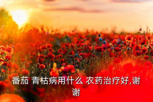 番茄 青枯病用什么 農藥治療好,謝謝