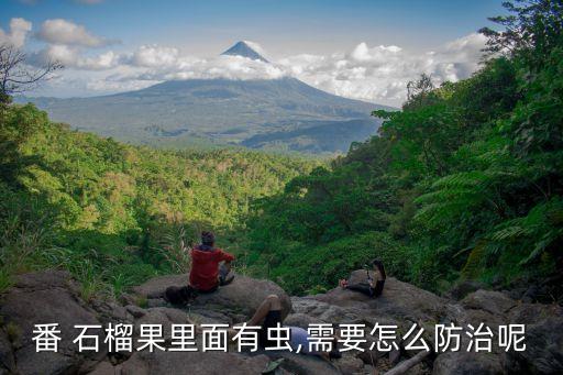 番 石榴果里面有蟲,需要怎么防治呢