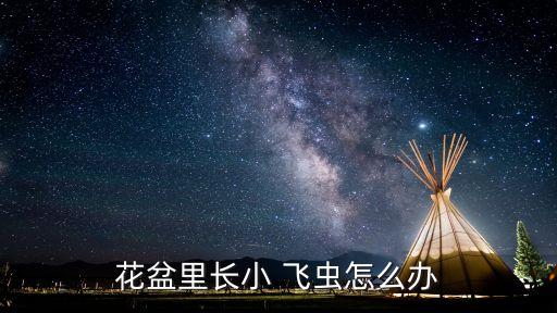 什么農藥可以消滅飛蟲呢,殺小飛蟲用什么農藥