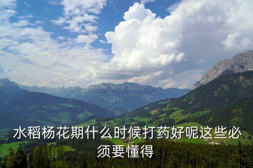 水稻農(nóng)藥什么時(shí)候施加,水稻什么時(shí)候打農(nóng)藥