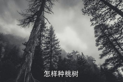 樹盾農藥又名是什么