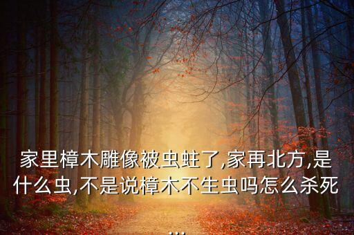 家里樟木雕像被蟲蛀了,家再北方,是什么蟲,不是說樟木不生蟲嗎怎么殺死...