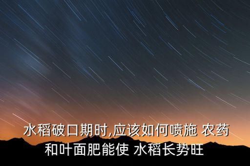 水稻破口期時,應(yīng)該如何噴施 農(nóng)藥和葉面肥能使 水稻長勢旺