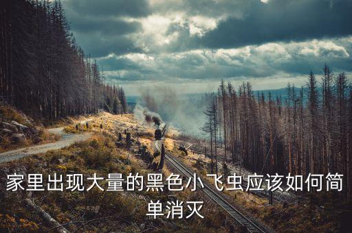 家里出現(xiàn)大量的黑色小飛蟲應(yīng)該如何簡(jiǎn)單消滅