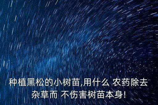 種植黑松的小樹(shù)苗,用什么 農(nóng)藥除去雜草而 不傷害樹(shù)苗本身!