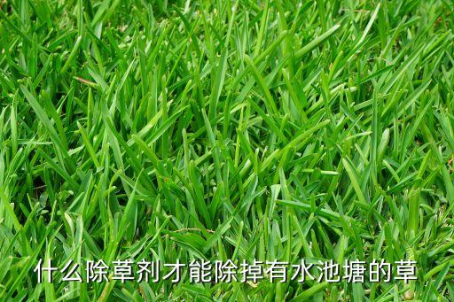 什么除草劑才能除掉有水池塘的草