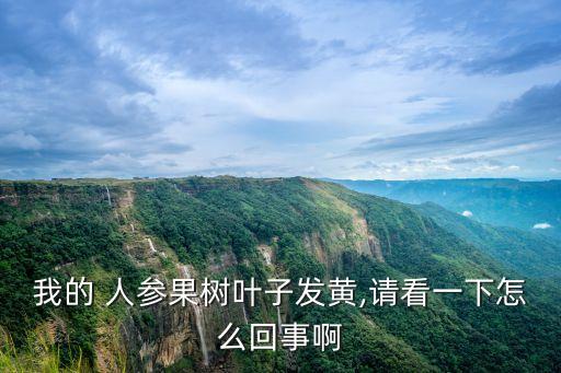 人參果常用什么農藥