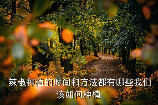 辣椒什么時間噴農(nóng)藥,辣椒開花時候可噴農(nóng)藥嗎