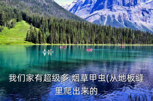 煙草用什么農藥消滅蟲子