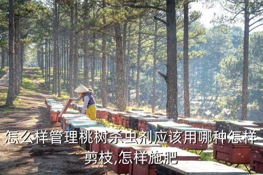 怎么樣管理桃樹殺蟲劑應該用哪種怎樣剪枝,怎樣施肥