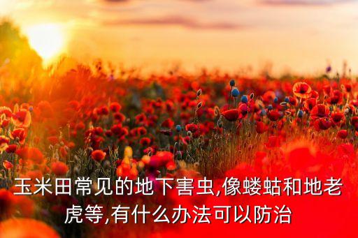 農藥殘虎能打什么蟲