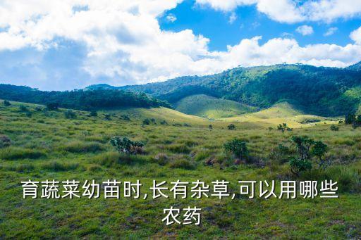 農藥壓苗有什么藥,油菜苗打什么農藥