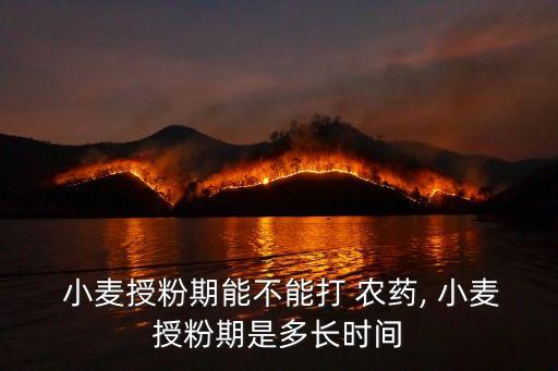 商丘小麥什么時候打農藥,2022年河南商丘什么時候種小麥