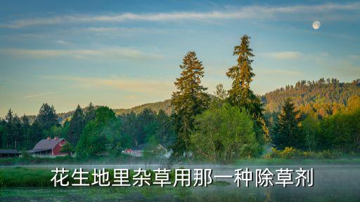 茶花生天花用什么農藥,茶花打什么農藥最好