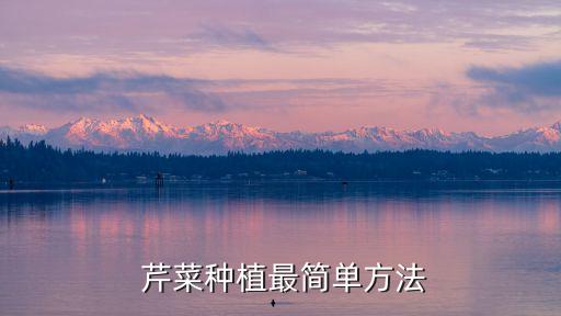 種芹菜要打什么農(nóng)藥,芹菜和什么一起打汁