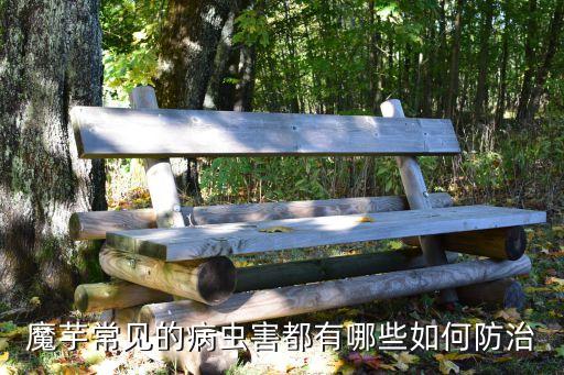 魔芋常見的病蟲害都有哪些如何防治